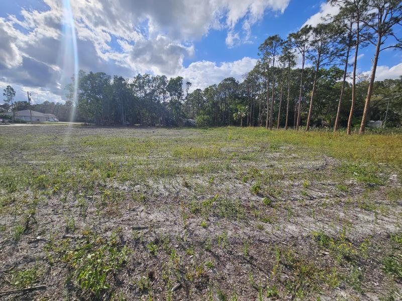 Duplex, Triplex and Fourplex Images