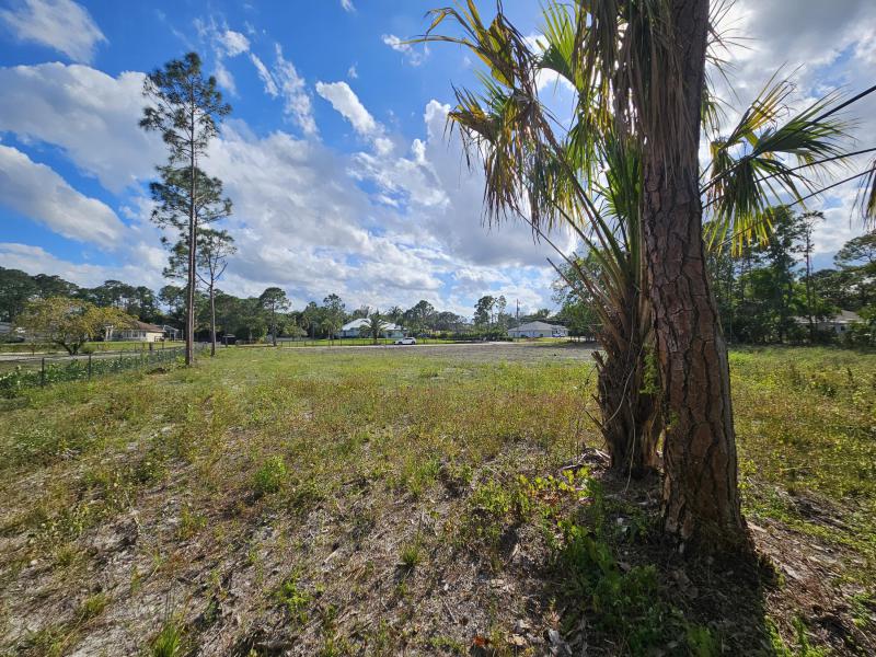 Duplex, Triplex and Fourplex Images