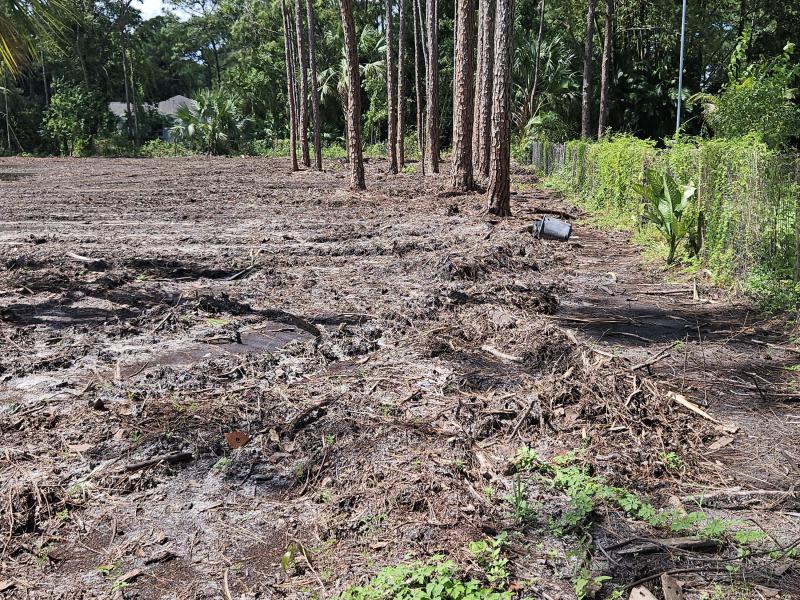 Duplex, Triplex and Fourplex Images