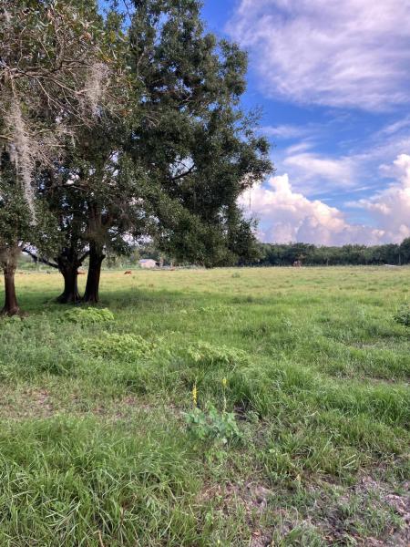  Commercial & Industrial Land Images 