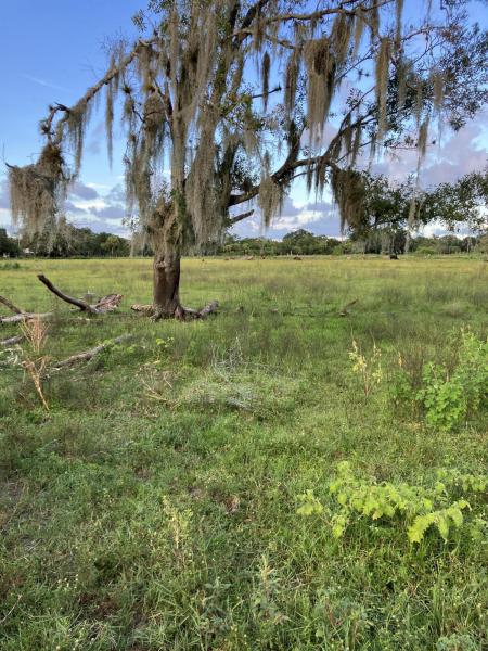  Commercial & Industrial Land Images 