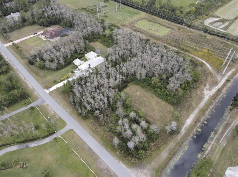 Duplex, Triplex and Fourplex Images