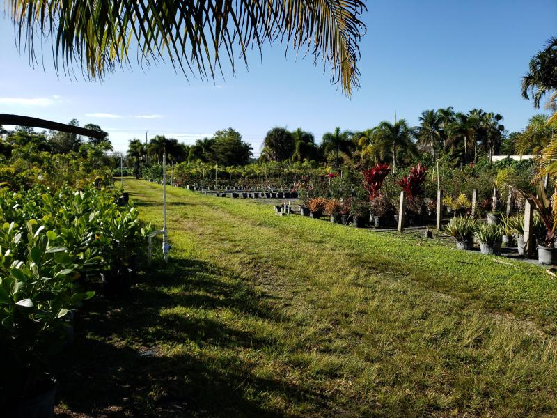  Commercial & Industrial Land Images 