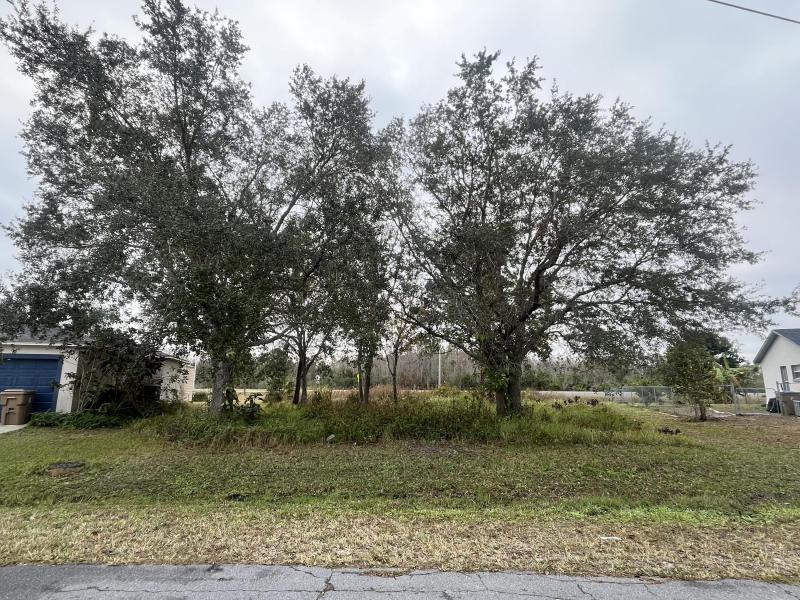 Duplex, Triplex and Fourplex Images