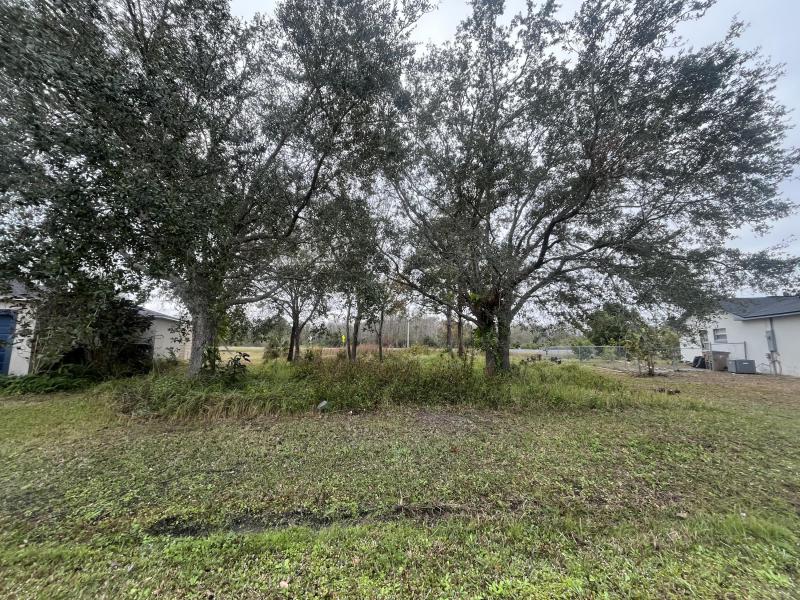 Duplex, Triplex and Fourplex Images