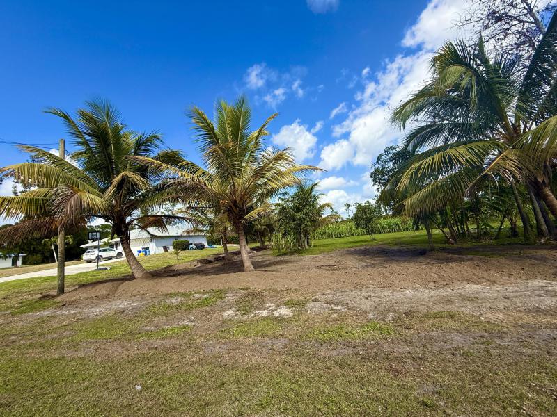 Duplex, Triplex and Fourplex Images