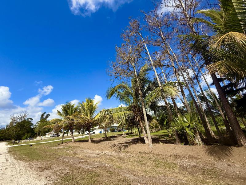 Duplex, Triplex and Fourplex Images