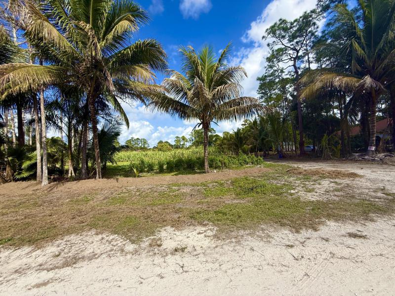 Duplex, Triplex and Fourplex Images