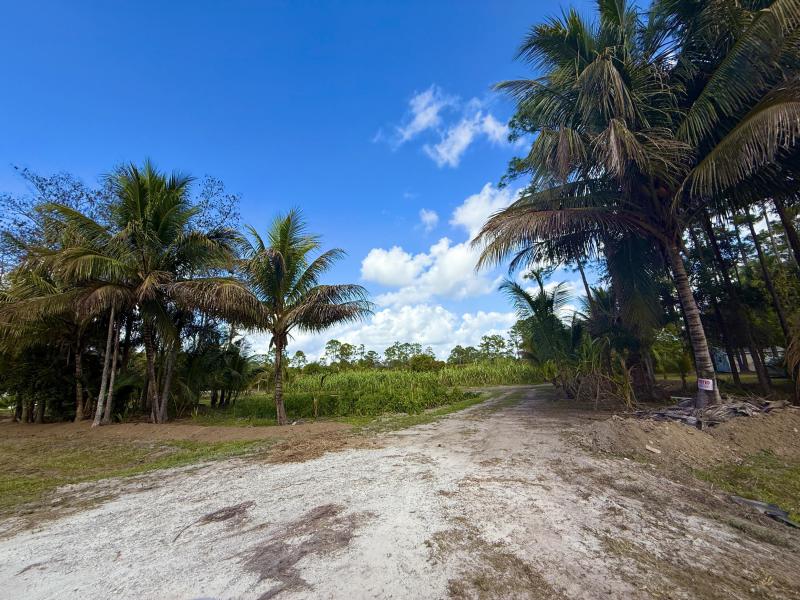 Duplex, Triplex and Fourplex Images