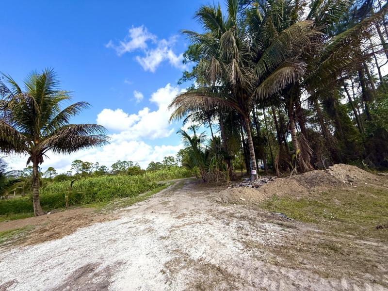 Duplex, Triplex and Fourplex Images