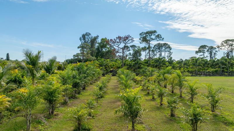 Commercial & Industrial Land Images 