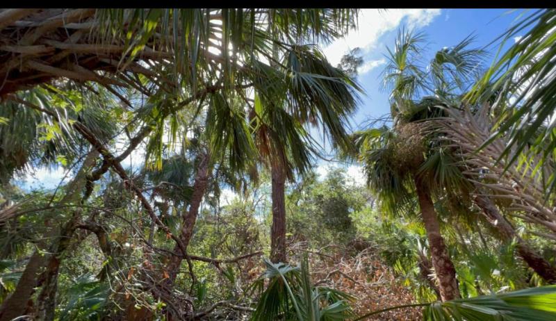 Duplex, Triplex and Fourplex Images