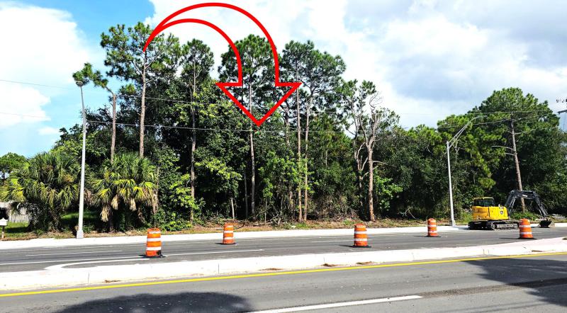 Duplex, Triplex and Fourplex Images