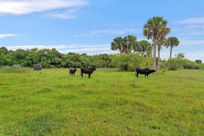  Commercial & Industrial Land Images 