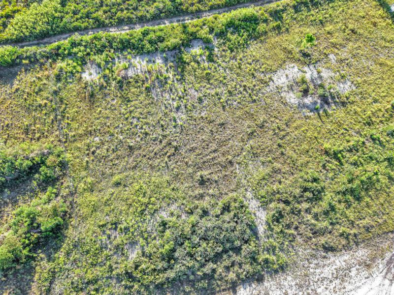 Duplex, Triplex and Fourplex Images