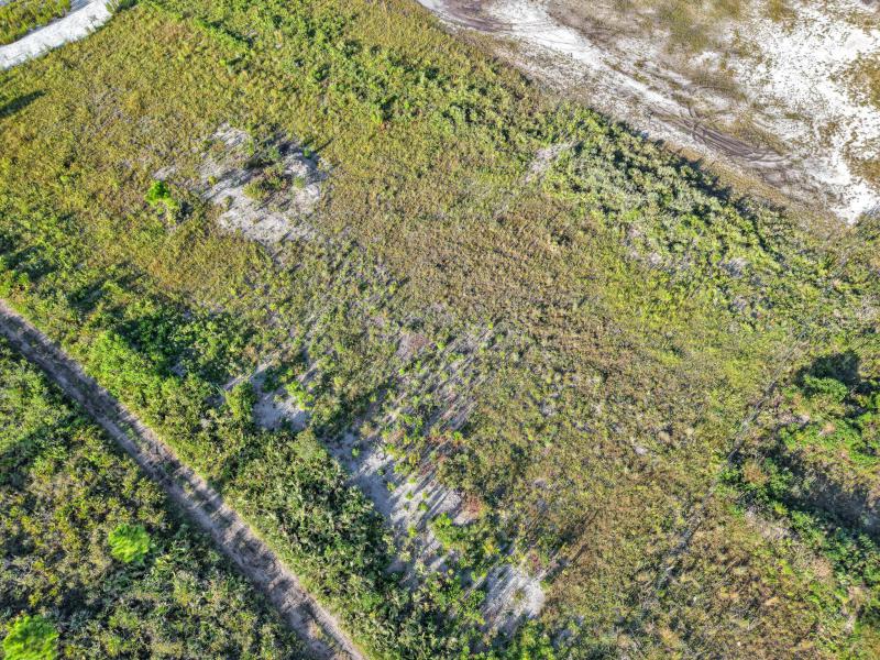 Duplex, Triplex and Fourplex Images