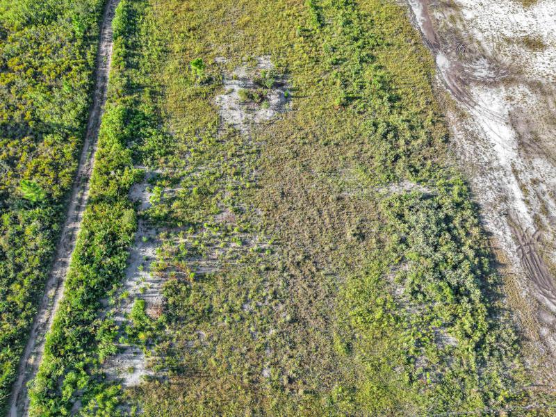 Duplex, Triplex and Fourplex Images