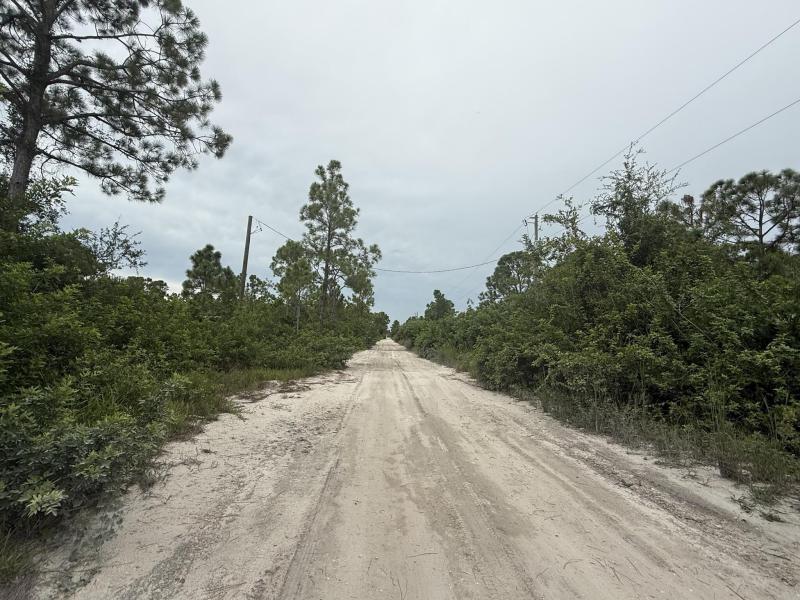 Duplex, Triplex and Fourplex Images