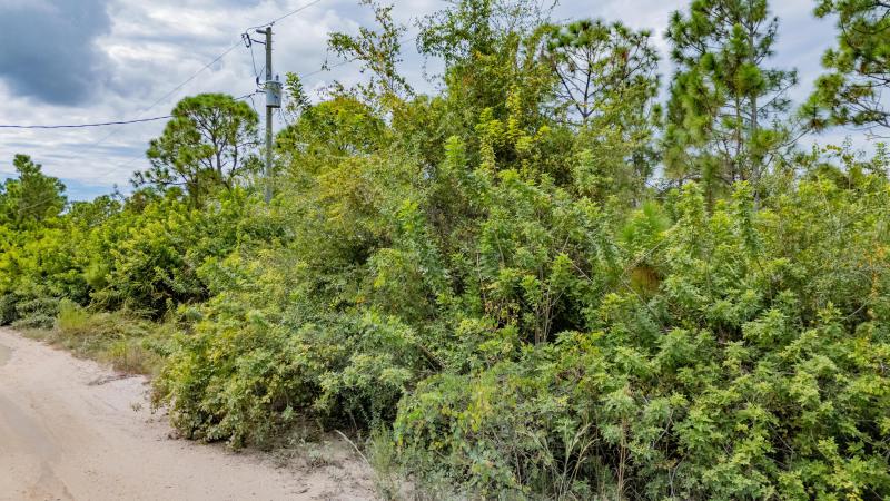 Duplex, Triplex and Fourplex Images