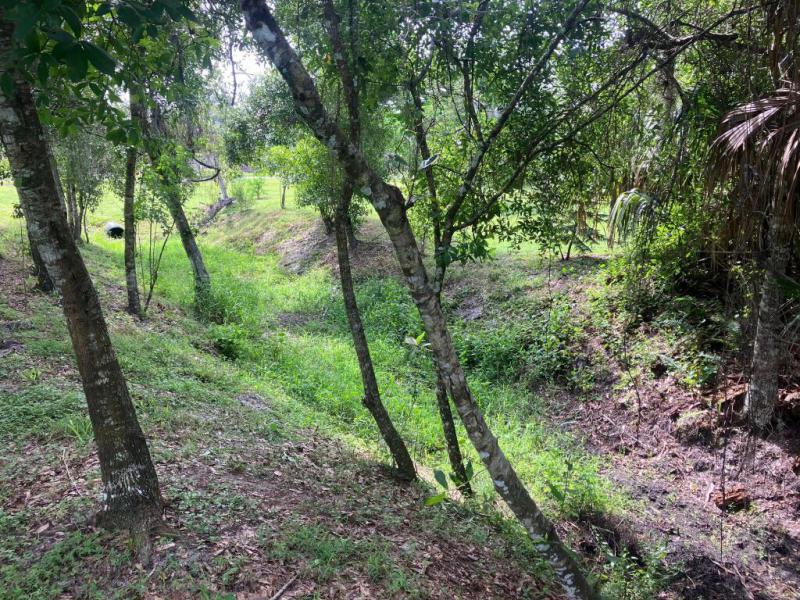 Duplex, Triplex and Fourplex Images