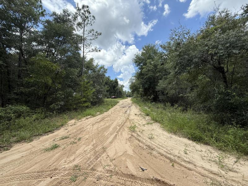 Duplex, Triplex and Fourplex Images