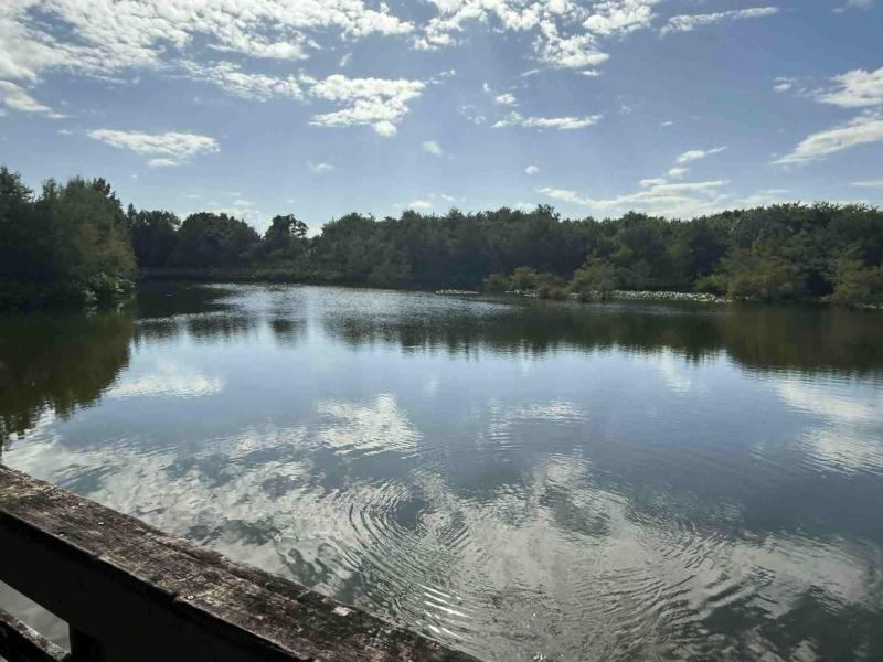 Duplex, Triplex and Fourplex Images