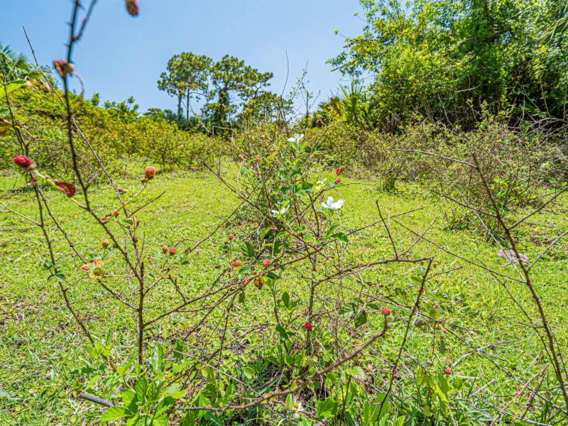  Commercial & Industrial Land Images 