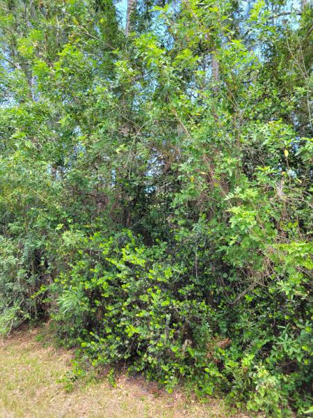  Commercial & Industrial Land Images 