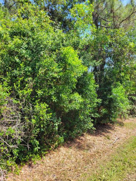  Commercial & Industrial Land Images 