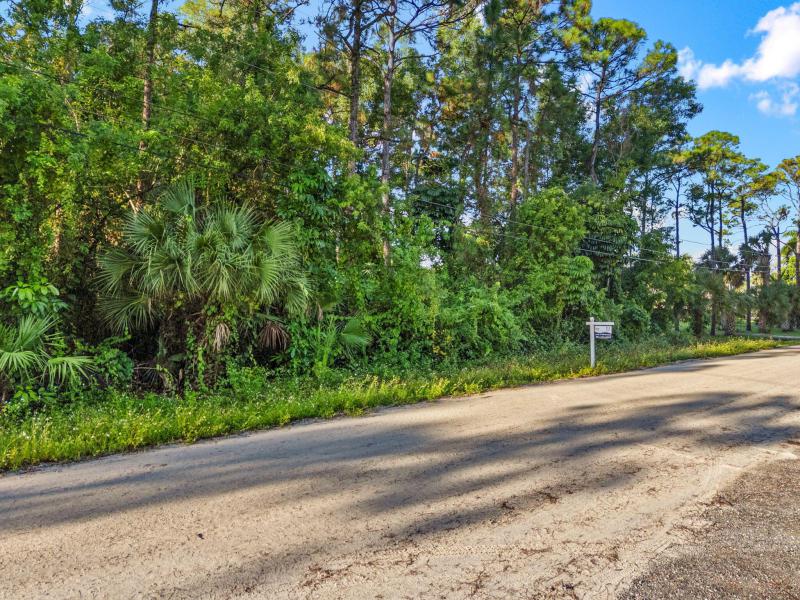 Duplex, Triplex and Fourplex Images