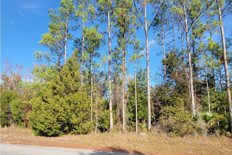  Commercial & Industrial Land Images 