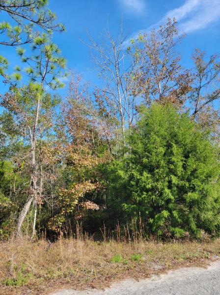  Commercial & Industrial Land Images 