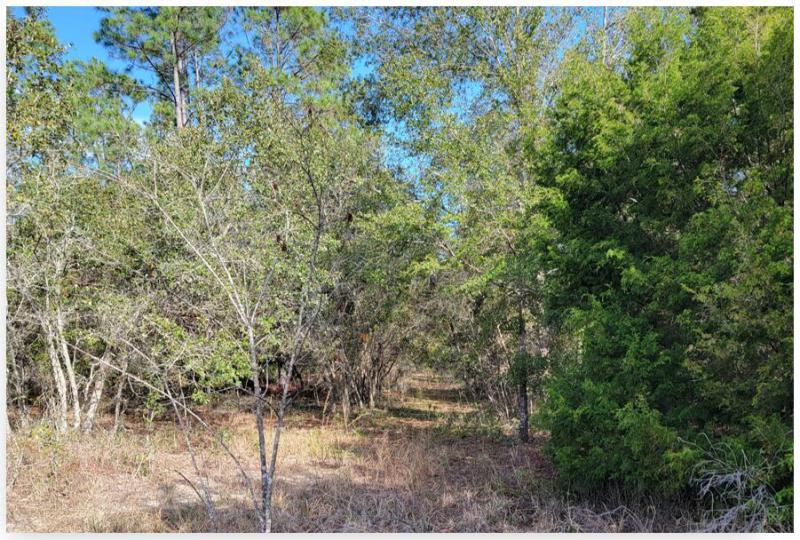  Commercial & Industrial Land Images 