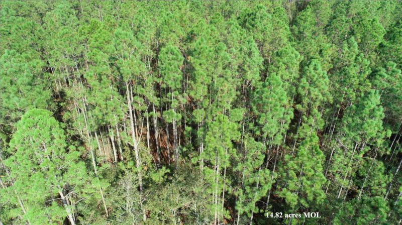  Commercial & Industrial Land Images 