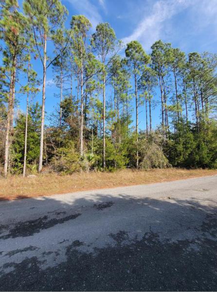  Commercial & Industrial Land Images 