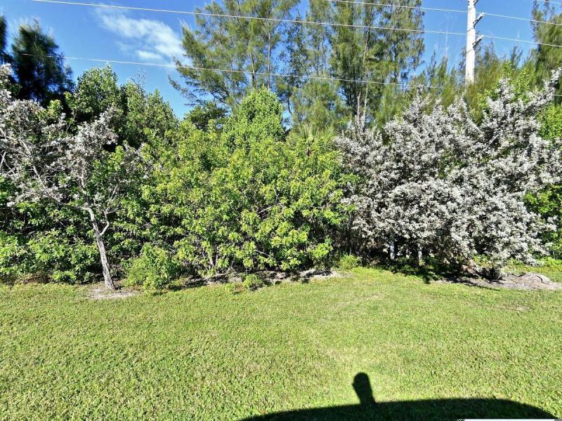 Duplex, Triplex and Fourplex Images