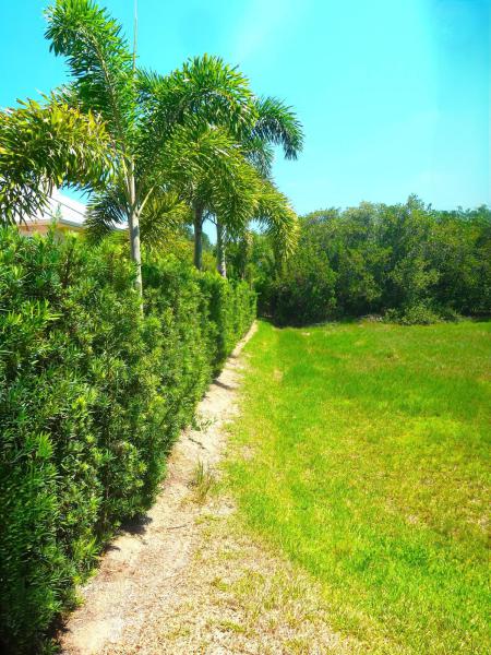 Duplex, Triplex and Fourplex Images