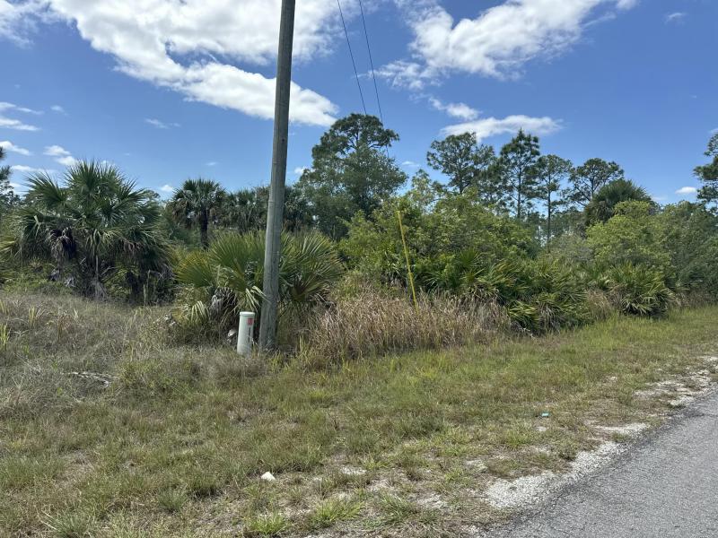 Duplex, Triplex and Fourplex Images