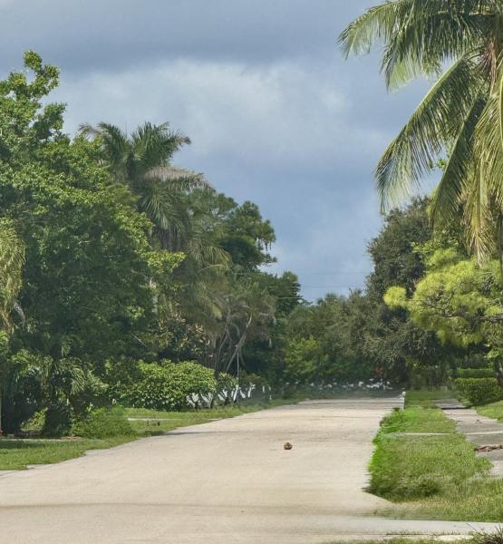 Duplex, Triplex and Fourplex Images