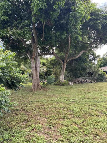 Duplex, Triplex and Fourplex Images