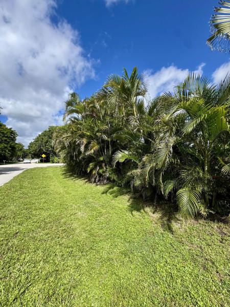 Duplex, Triplex and Fourplex Images