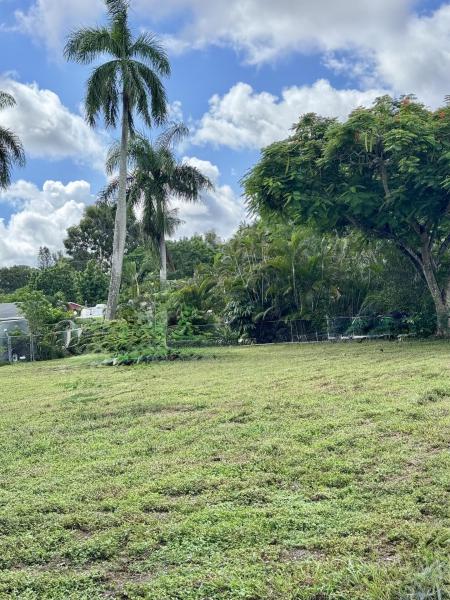 Duplex, Triplex and Fourplex Images