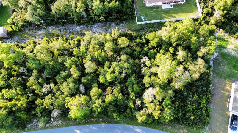 Duplex, Triplex and Fourplex Images