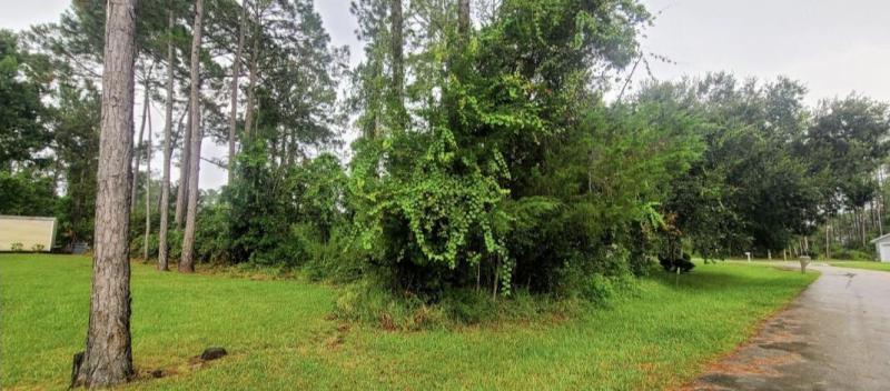 Duplex, Triplex and Fourplex Images