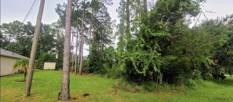 Duplex, Triplex and Fourplex Images