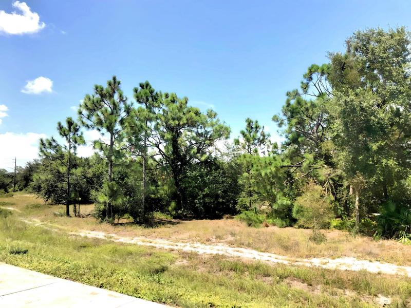 Duplex, Triplex and Fourplex Images