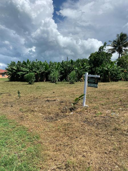 Duplex, Triplex and Fourplex Images