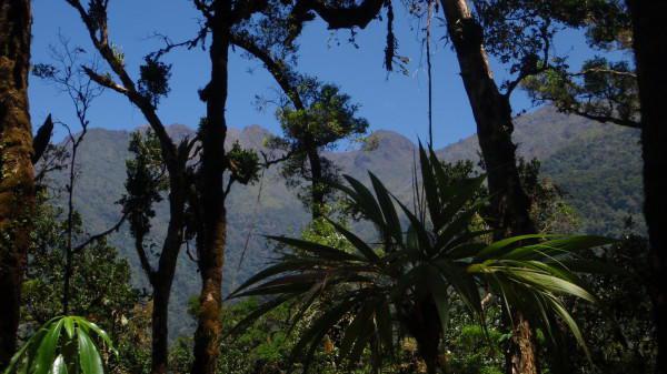  Commercial & Industrial Land Images 