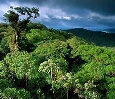  Commercial & Industrial Land Images 