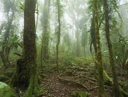  Commercial & Industrial Land Images 